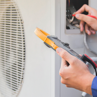 especi (4) especi (4)